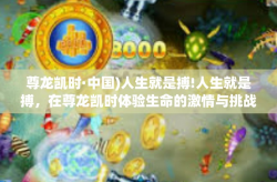 尊龙凯时·中国)人生就是搏!人生就是搏，在尊龙凯时体验生命的激情与挑战-尊龙凯时·中国)人生就是搏!