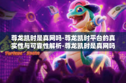 尊龙凯时是真网吗-尊龙凯时平台的真实性与可靠性解析-尊龙凯时是真网吗