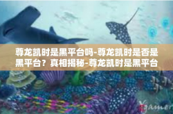 尊龙凯时是黑平台吗-尊龙凯时是否是黑平台？真相揭秘-尊龙凯时是黑平台吗