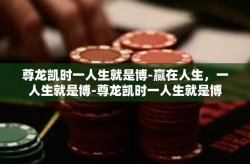 尊龙凯时一人生就是博-赢在人生，一人生就是博-尊龙凯时一人生就是博