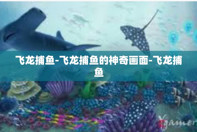 飞龙捕鱼-飞龙捕鱼的神奇画面-飞龙捕鱼